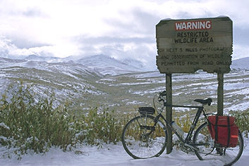 cycling in denali national park