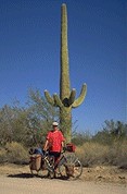 saguaro and cyclist