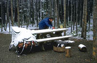 snowy morning at Kananaskis Provincial Park