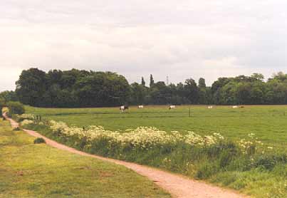 bikepath on the countryside