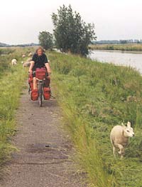 cycling in spring