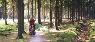 biker in the forest