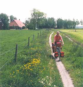 biker on bike path