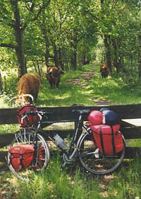 hooglanders