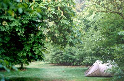 natuurkampeerterrein (green campsite)