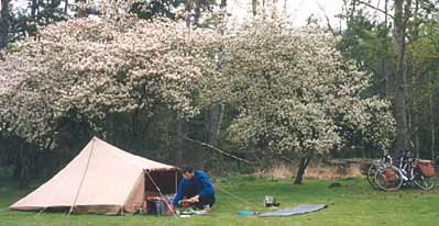 natuurkampeerterrein (green campsite)