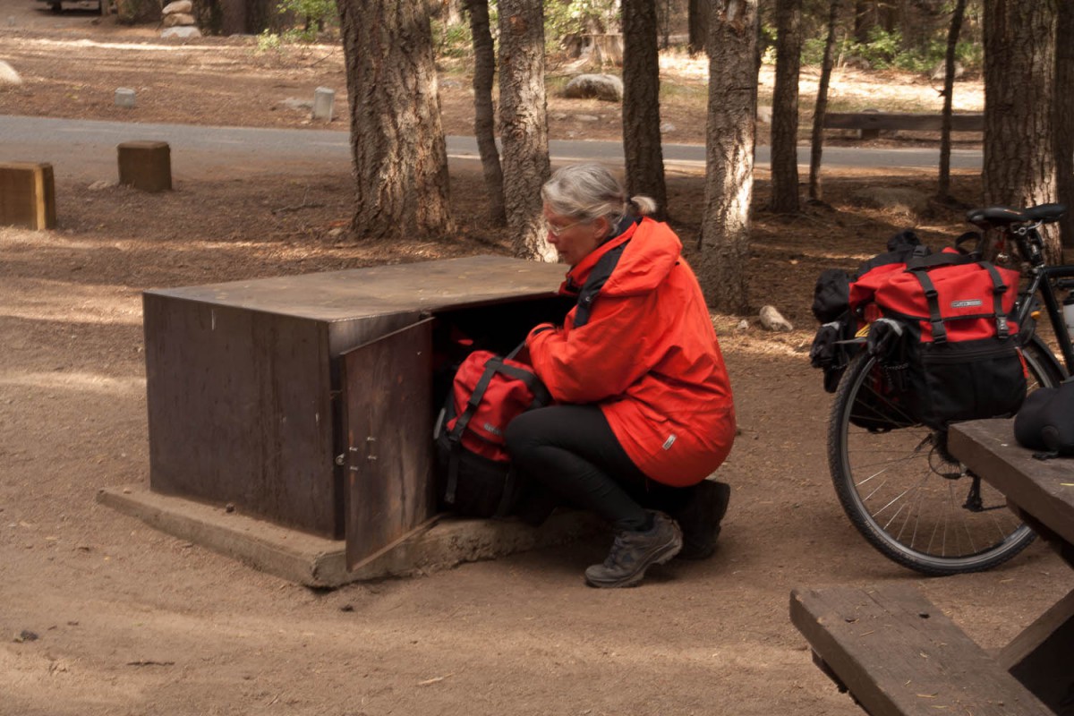 bear proof food container at Stony Creek