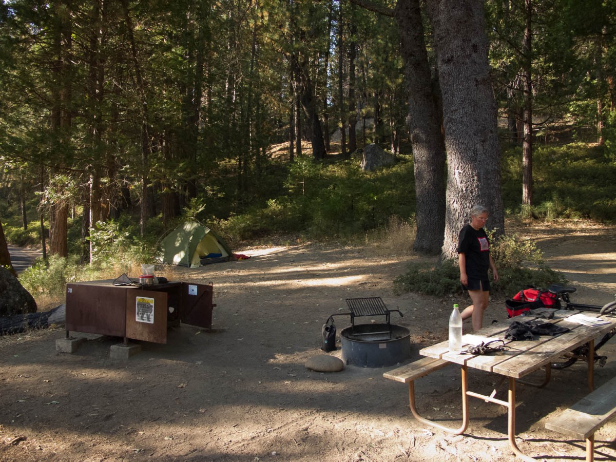 typical national park camp site at Wawona (bear box, picknick table and fire place)