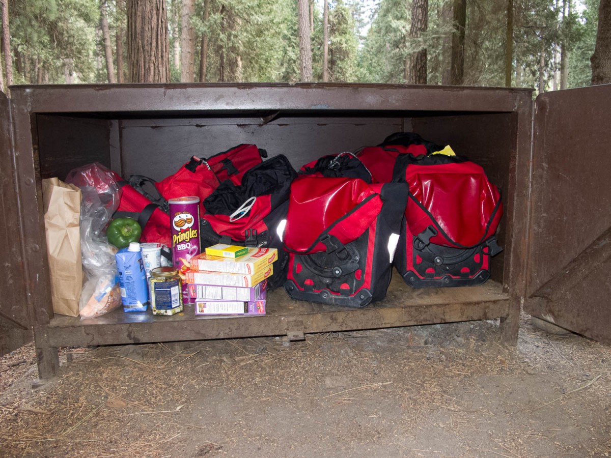 bear proof food storage