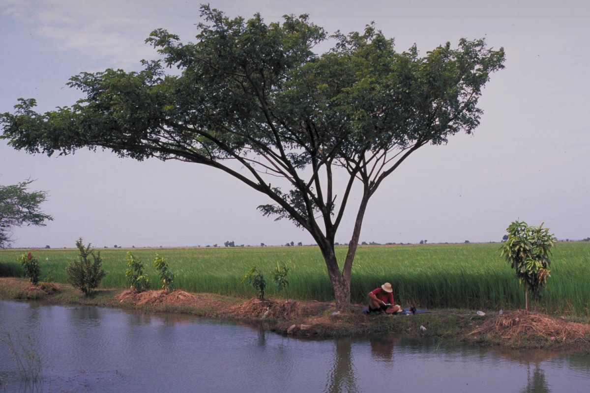 lunch break between Aranya Prathet and Sisophon