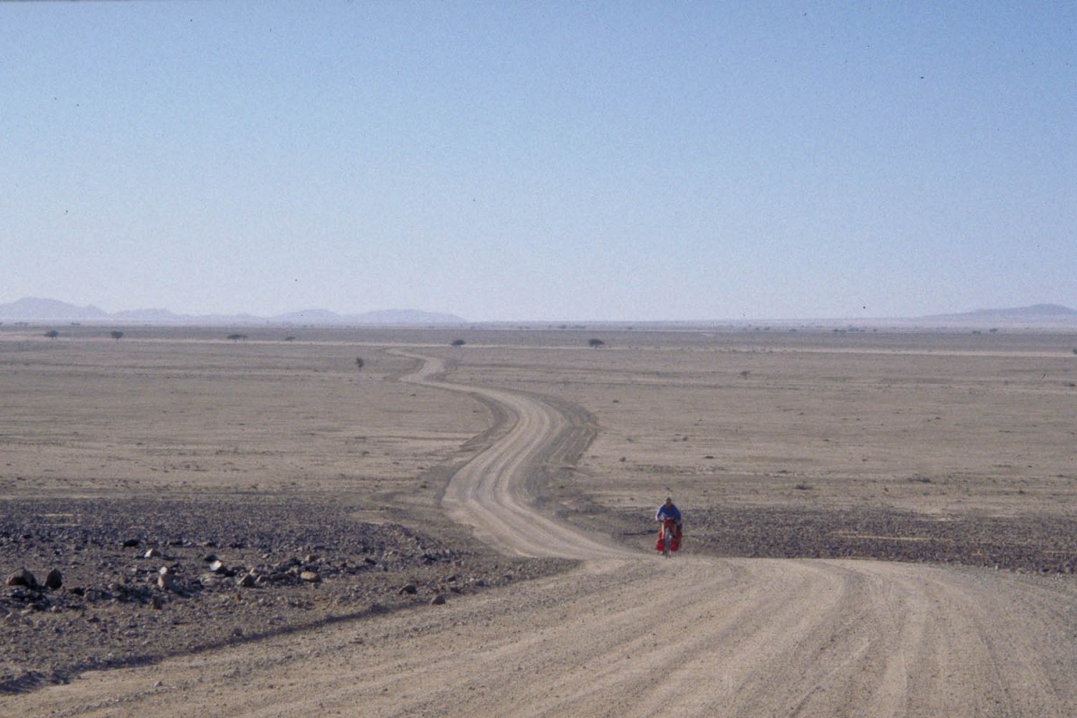 in the Namib Desert