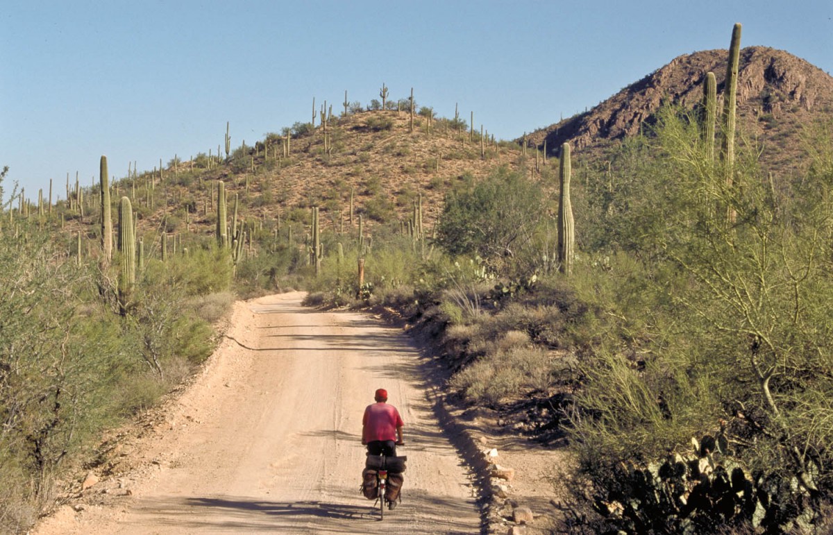 dusty road in Saguaro NP