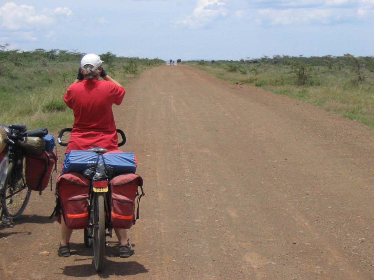 elephants crossing