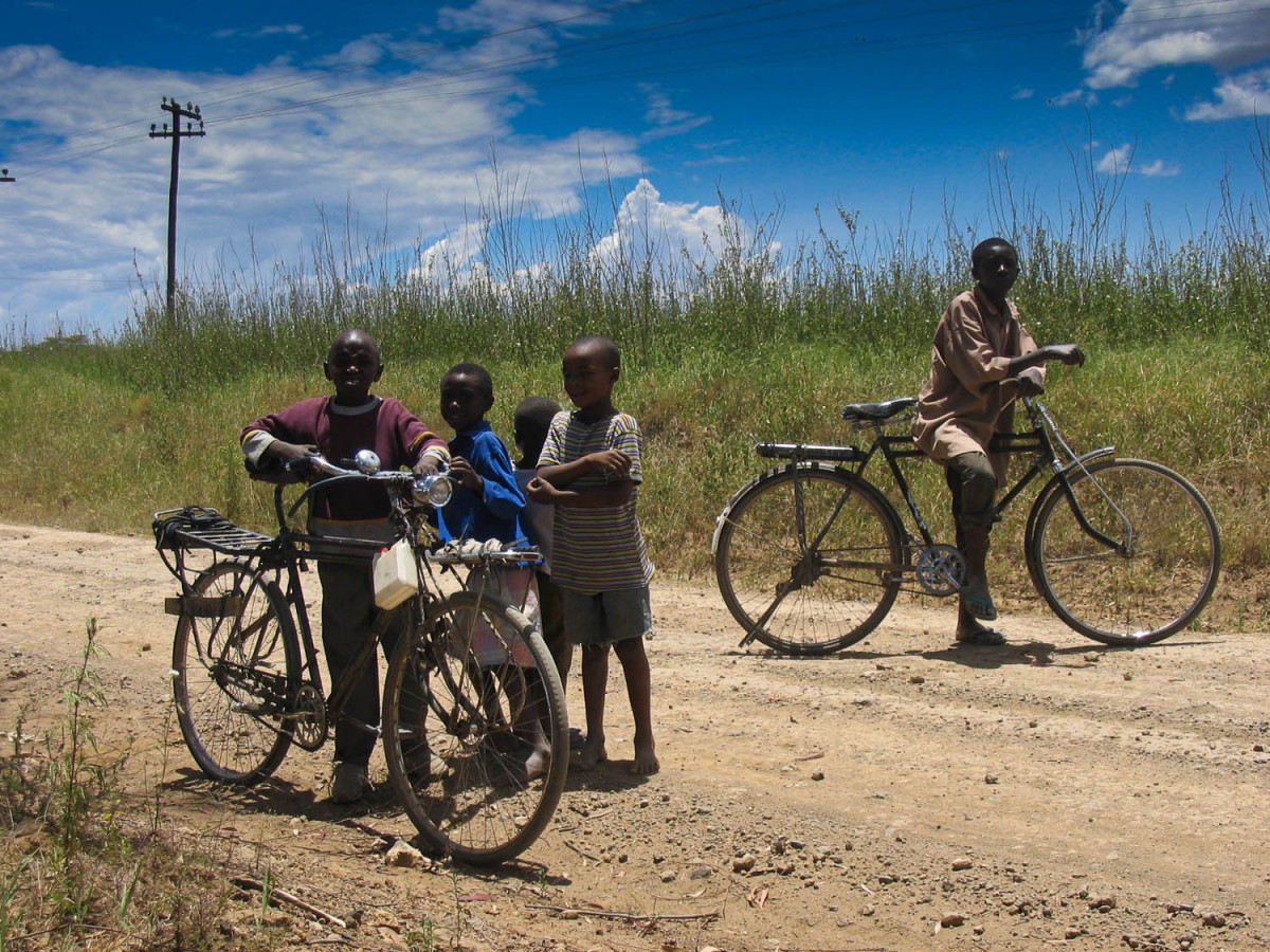 fellow cyclists on the road