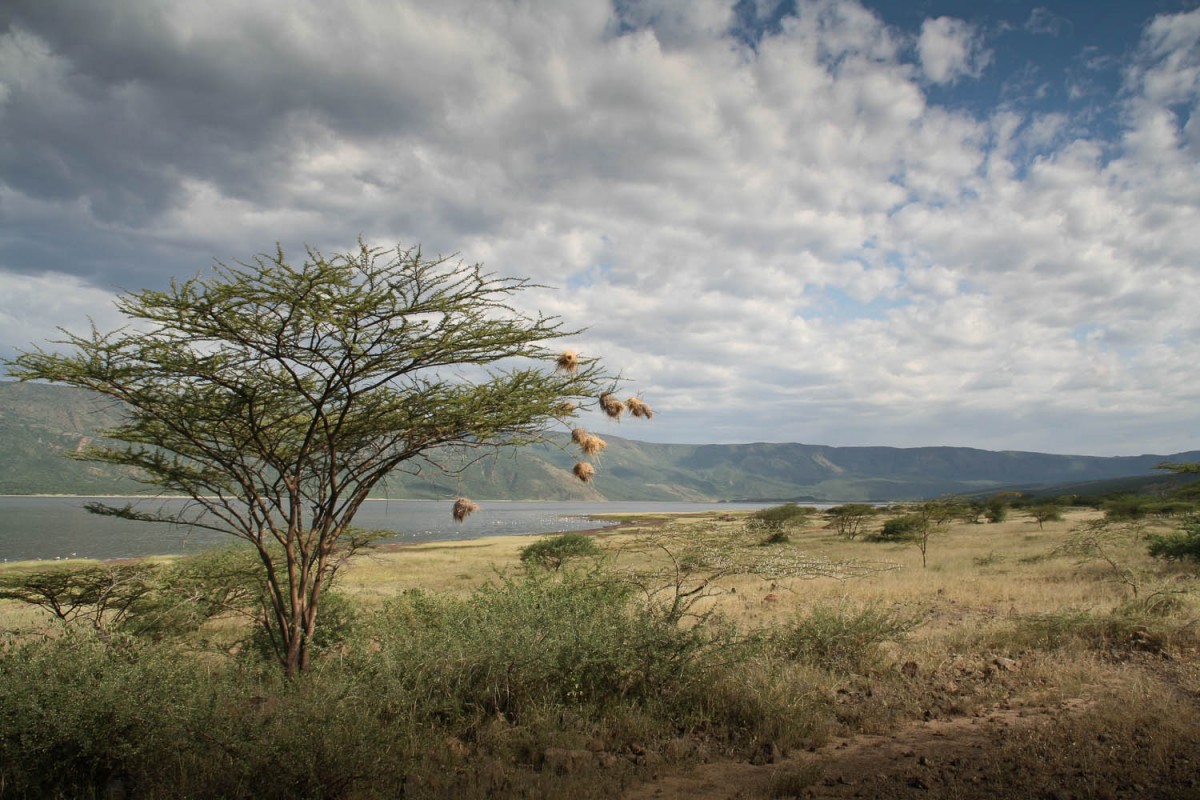 Lake Bogoria