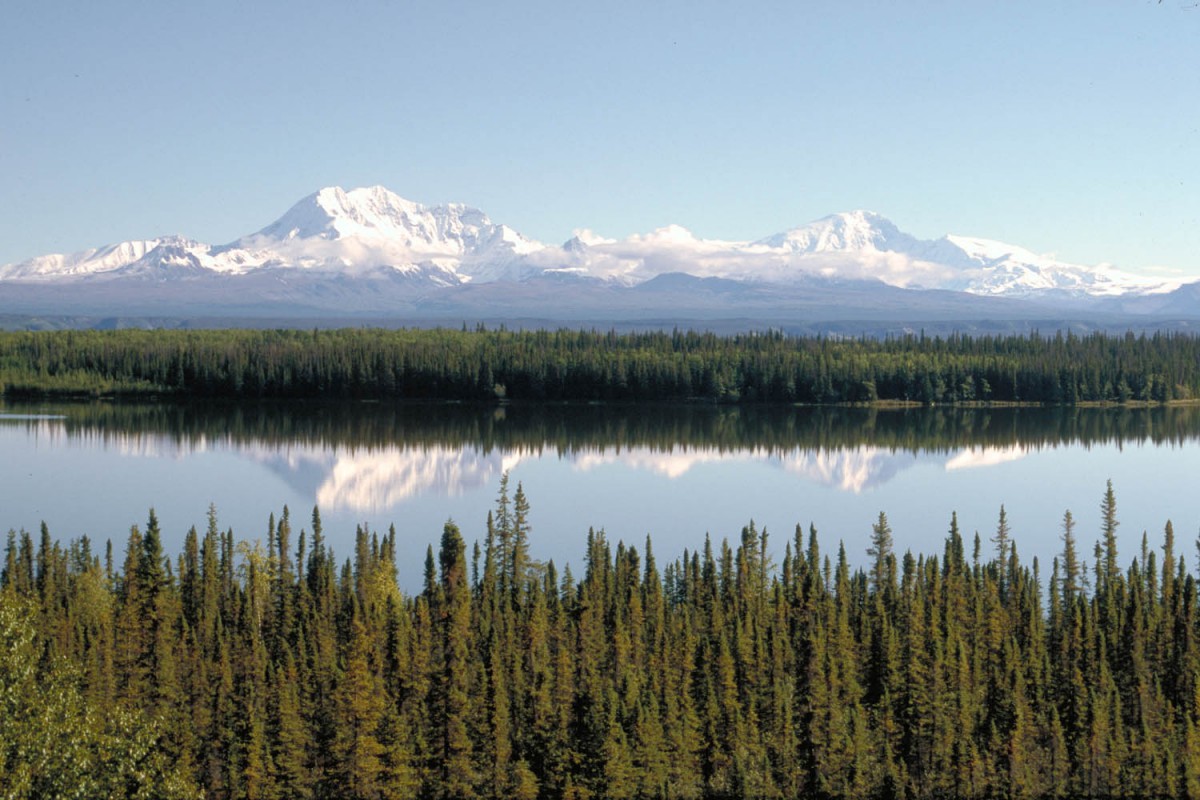 Wrangell Mountains reflecting in Willow Lake