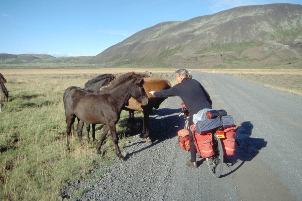 cyclist meets horse power