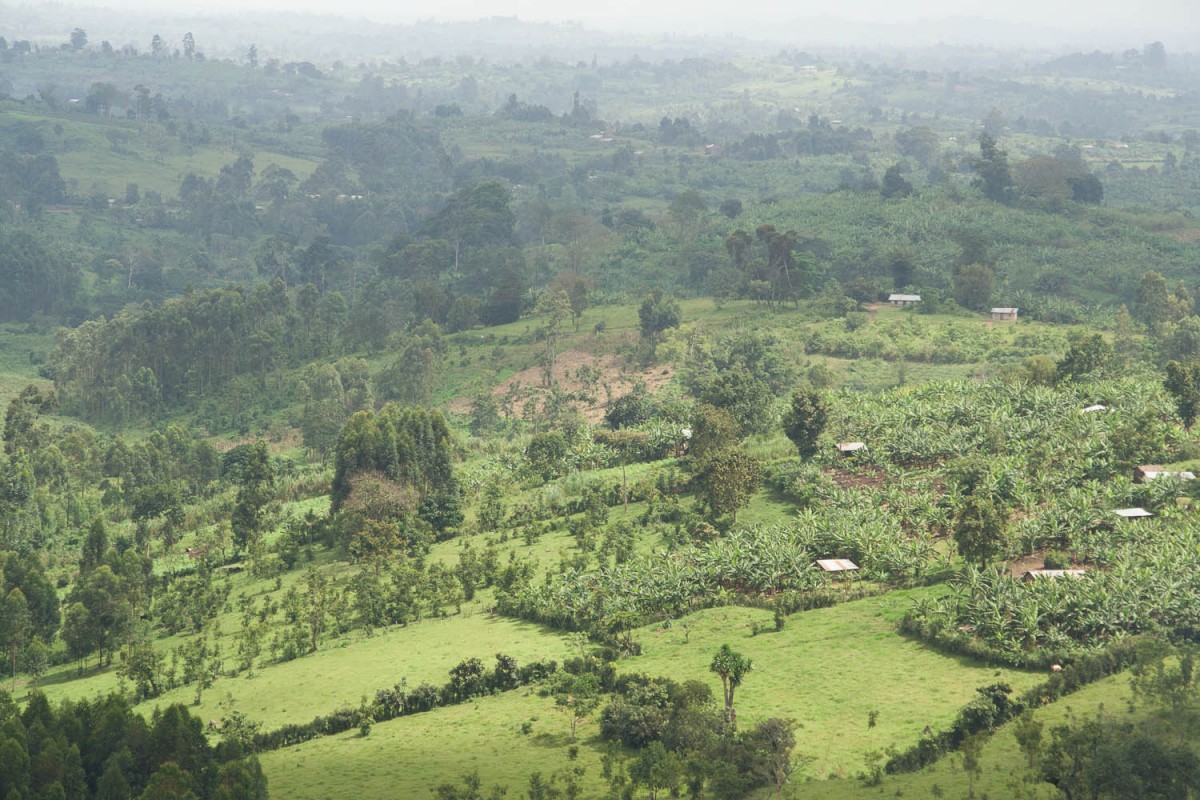 views around Lake Nkuruba