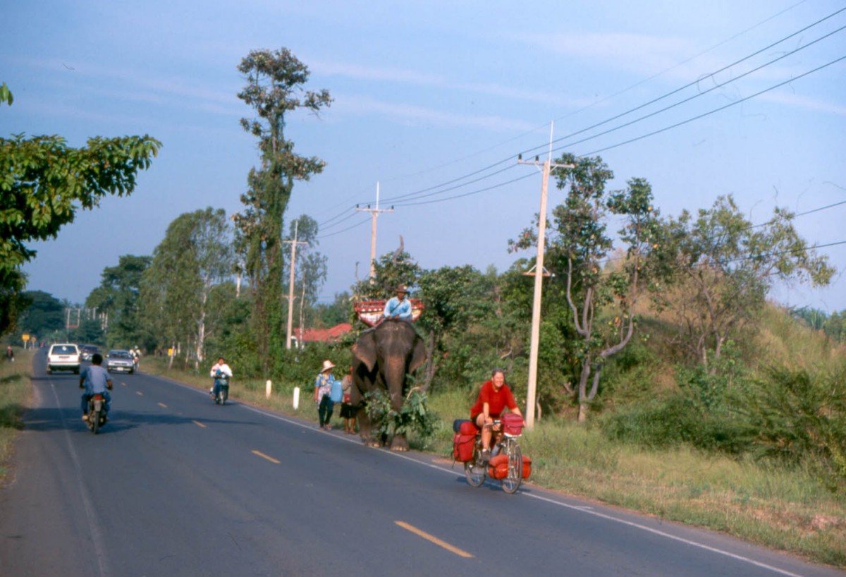 meeting an elephant on the road near Surin