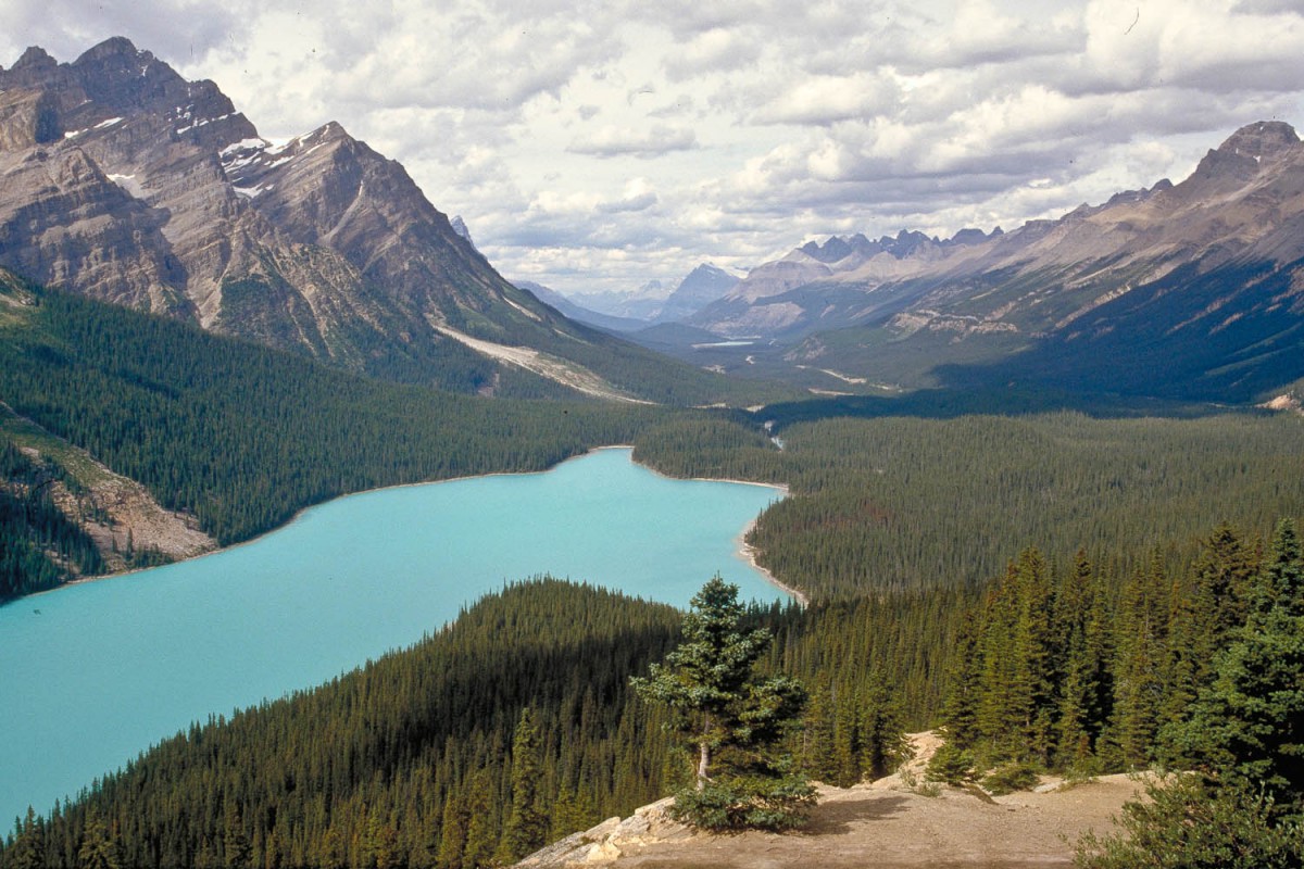 Peyto Lake