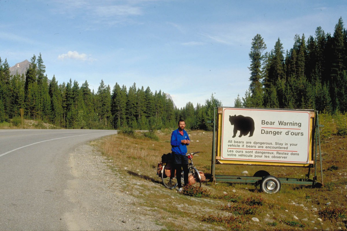 look out for bears and stay in your car 