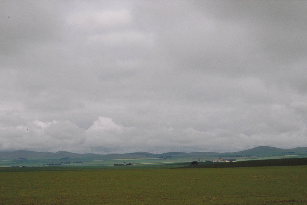 The green pastures of south australiua