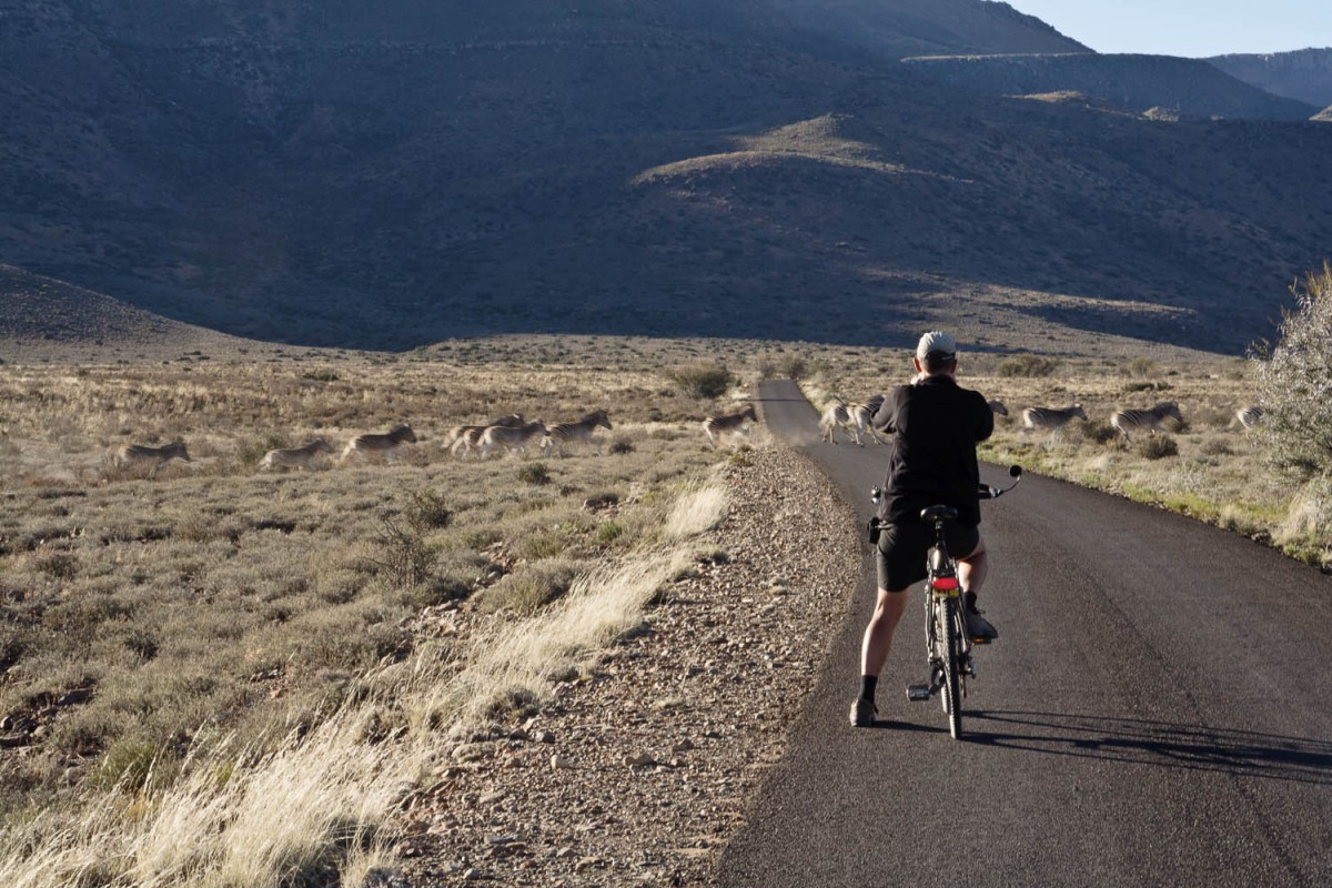 Karoo NP