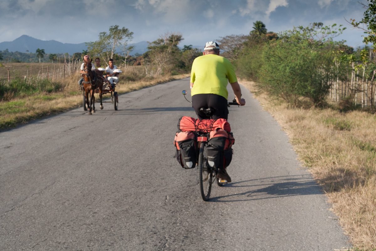 horse cart